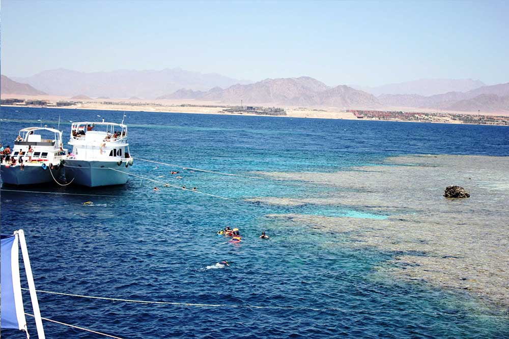 Half-day Snorkeling Boat trip with lunch and drinks
