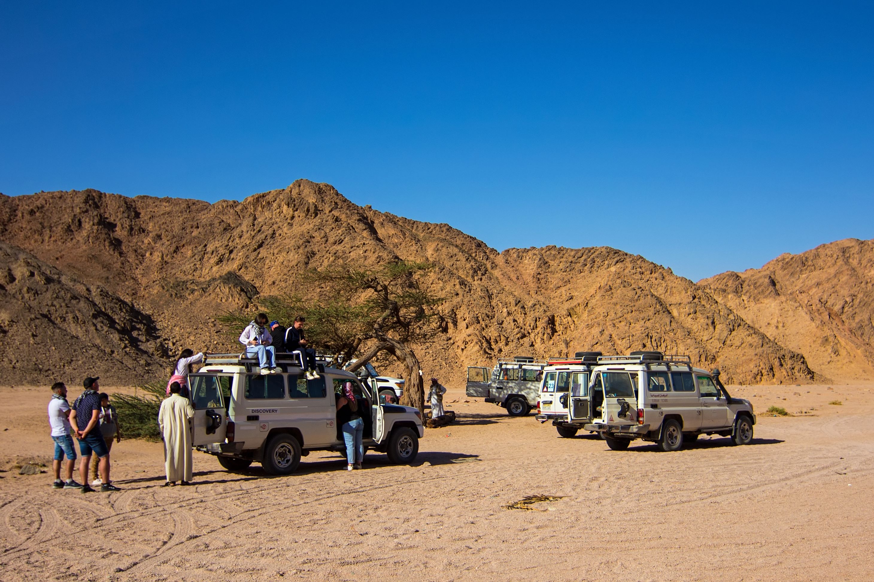Jeep Safari Adventure at Nabq National Park with Camel Ride & Bedouin Dinner